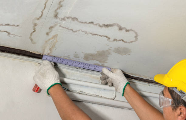 Reliable Water Damage contractor in Ashland, KY by Water Damage Irwin